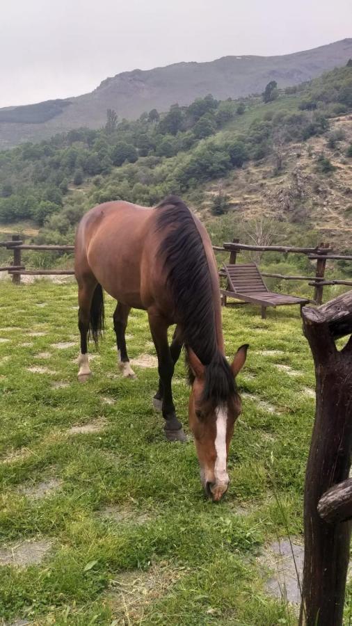 Casa Rural Cortijo Molino Altero Trevélez 外观 照片