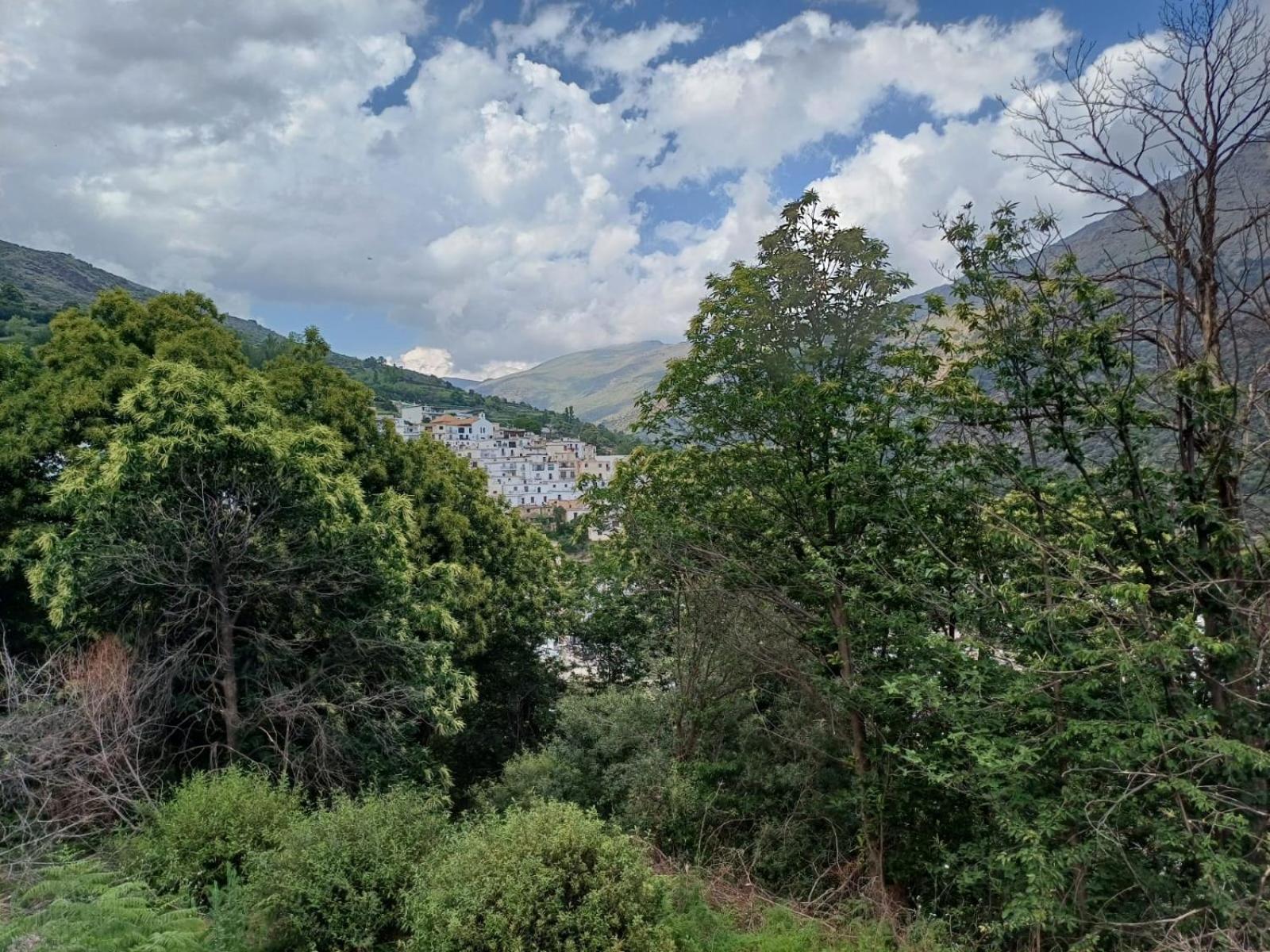 Casa Rural Cortijo Molino Altero Trevélez 外观 照片