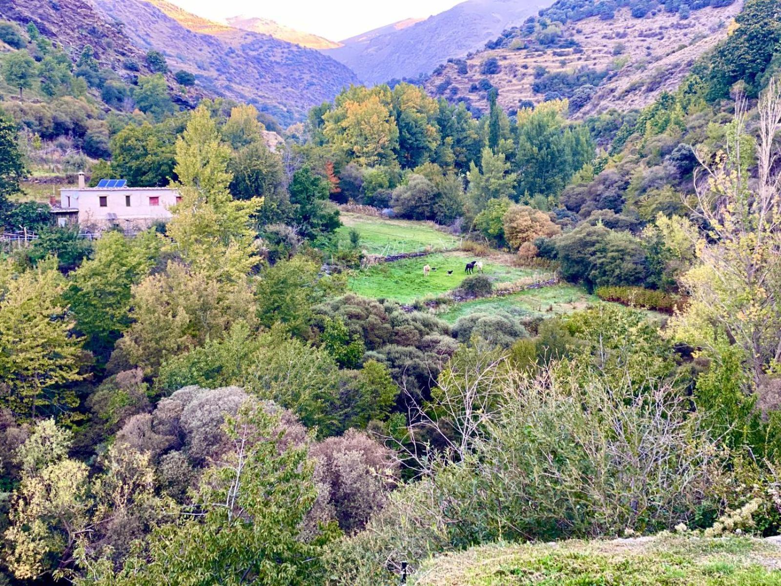 Casa Rural Cortijo Molino Altero Trevélez 外观 照片