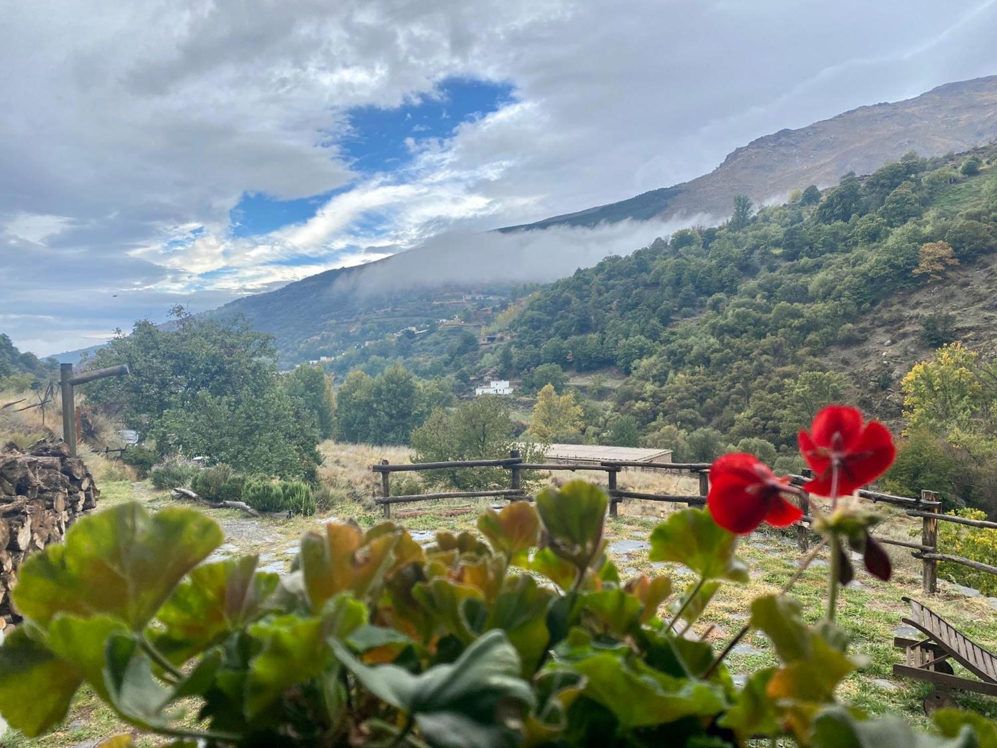 Casa Rural Cortijo Molino Altero Trevélez 外观 照片