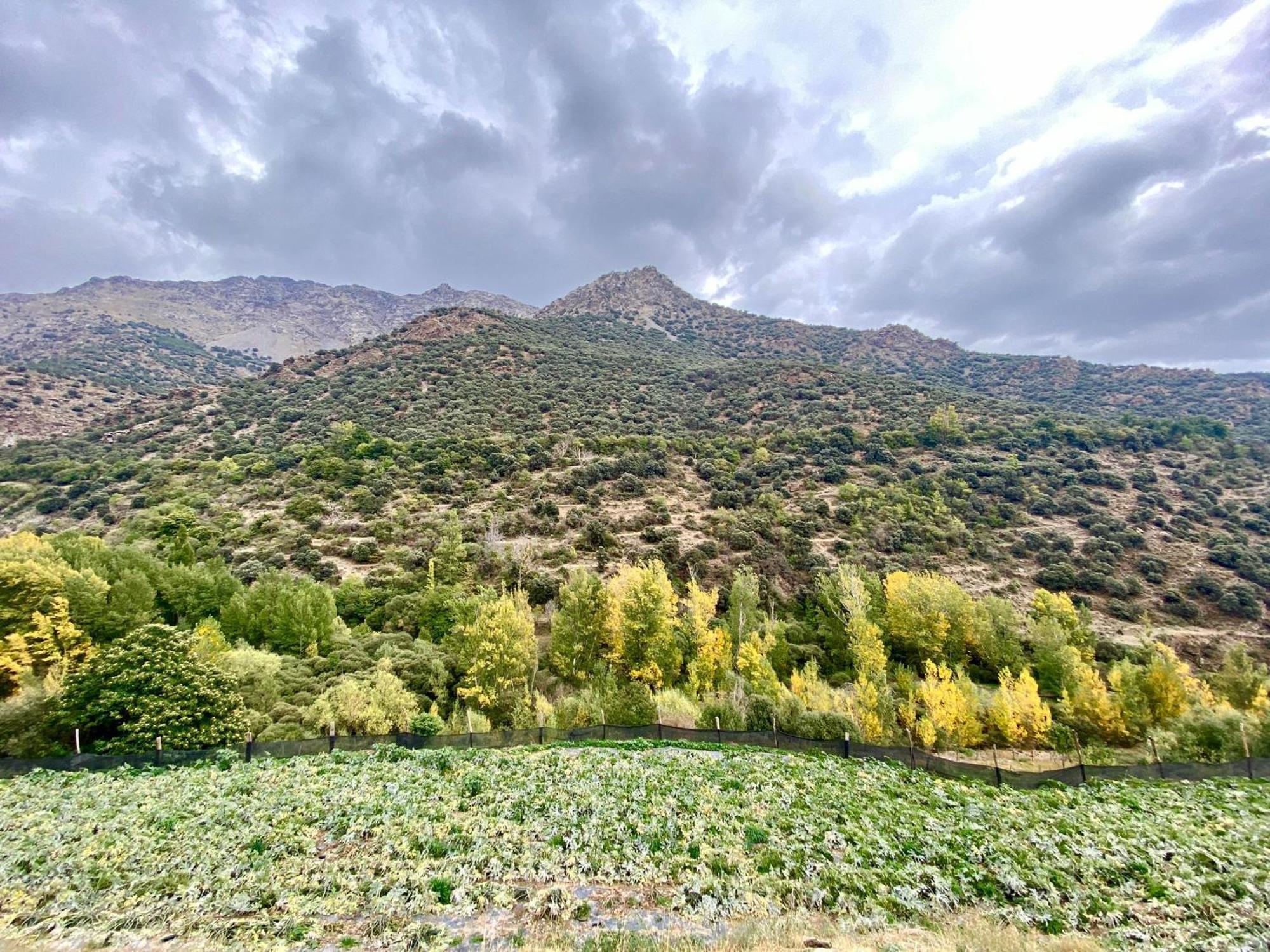 Casa Rural Cortijo Molino Altero Trevélez 外观 照片